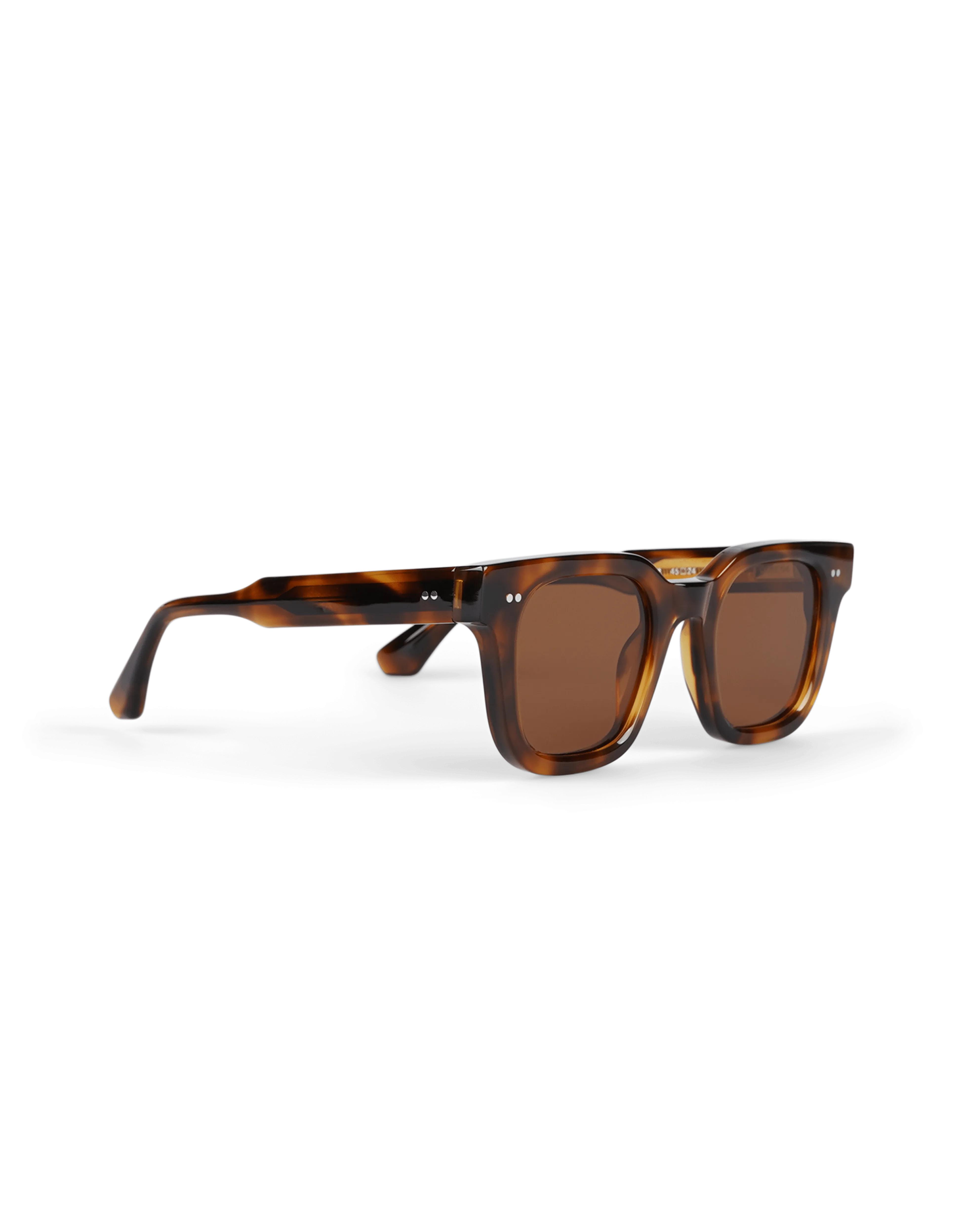 04.2 Tortoise