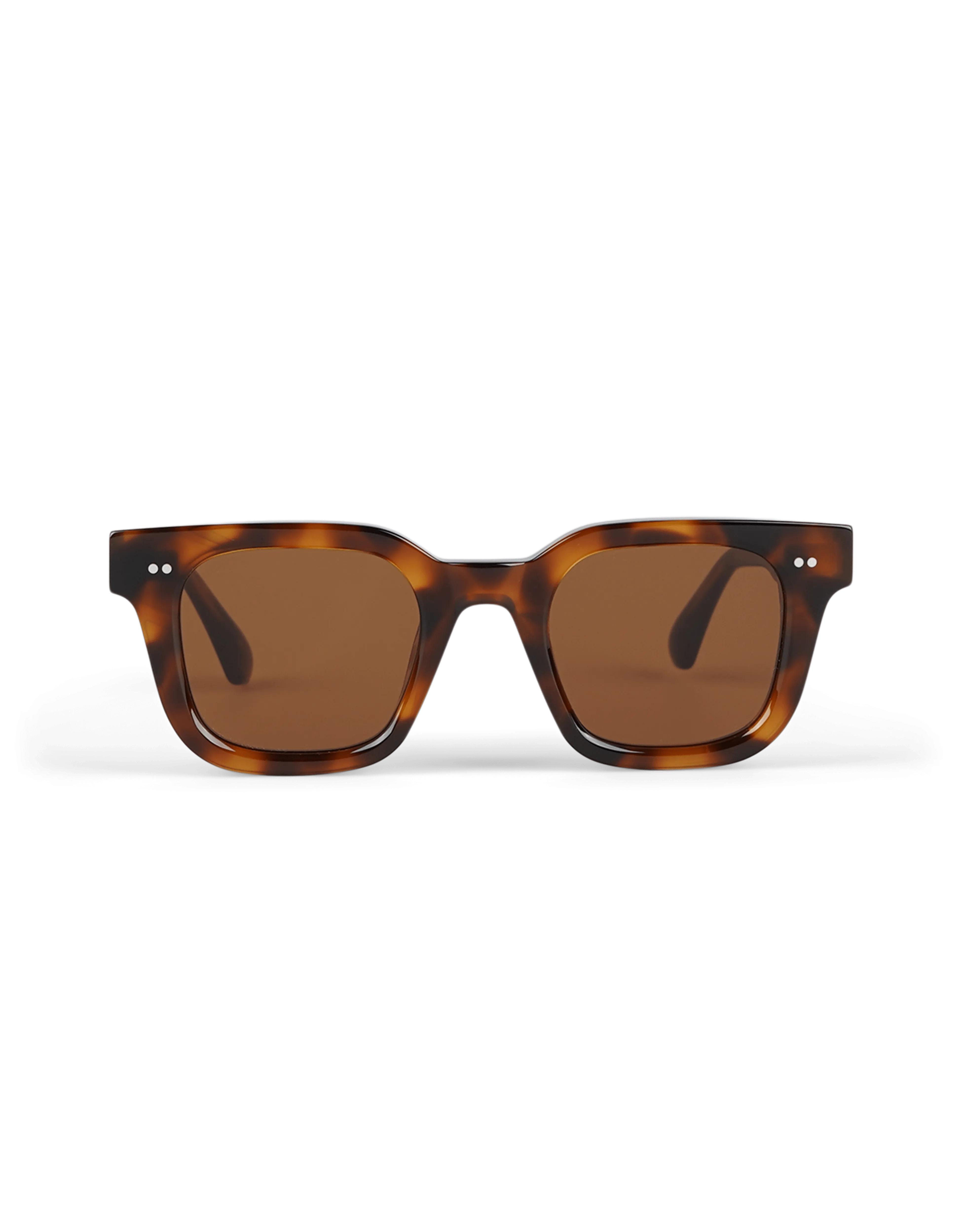 04.2 Tortoise