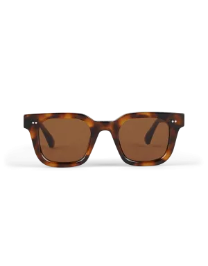 04.2 Tortoise