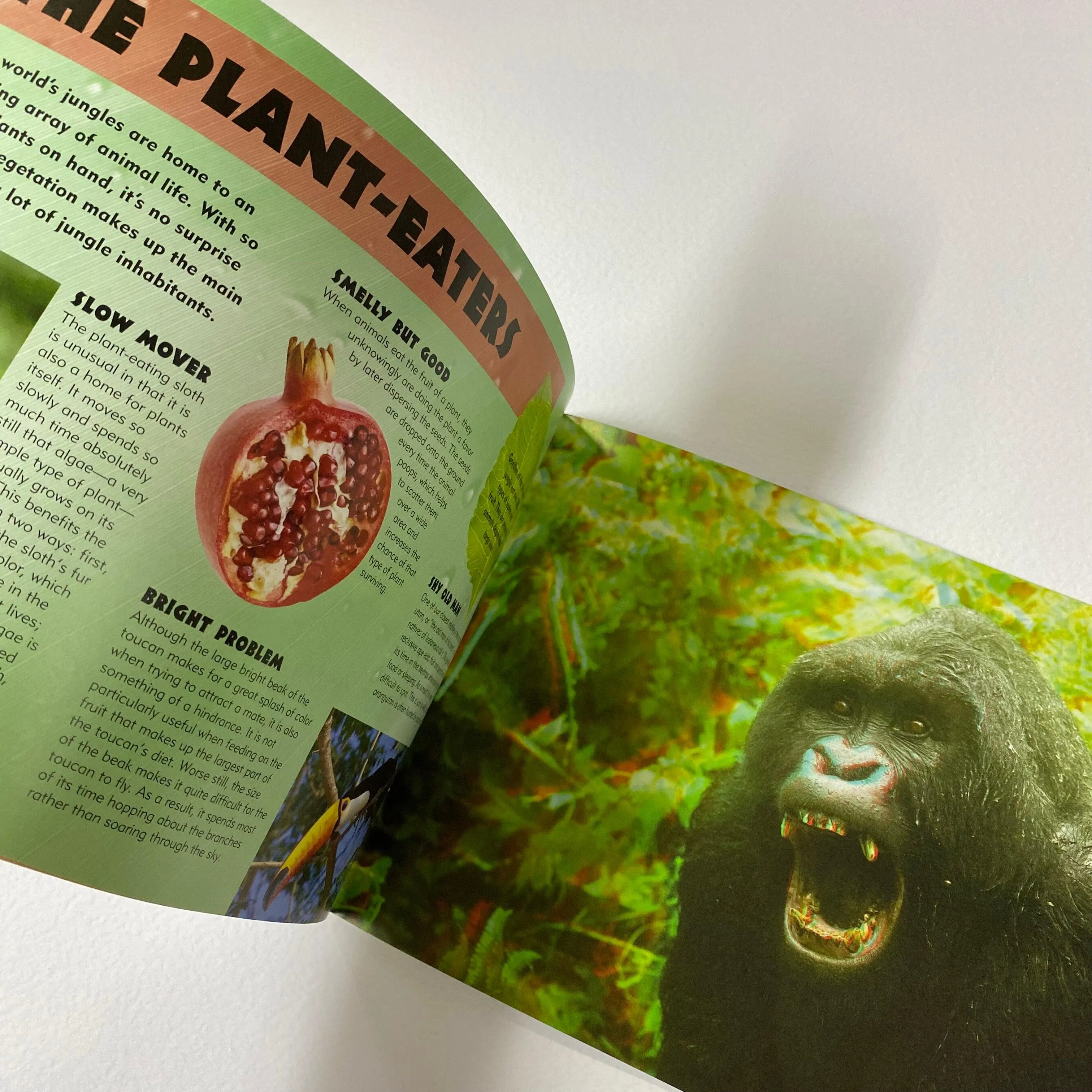 3D Worlds Jungle - [With 3-D Glasses]