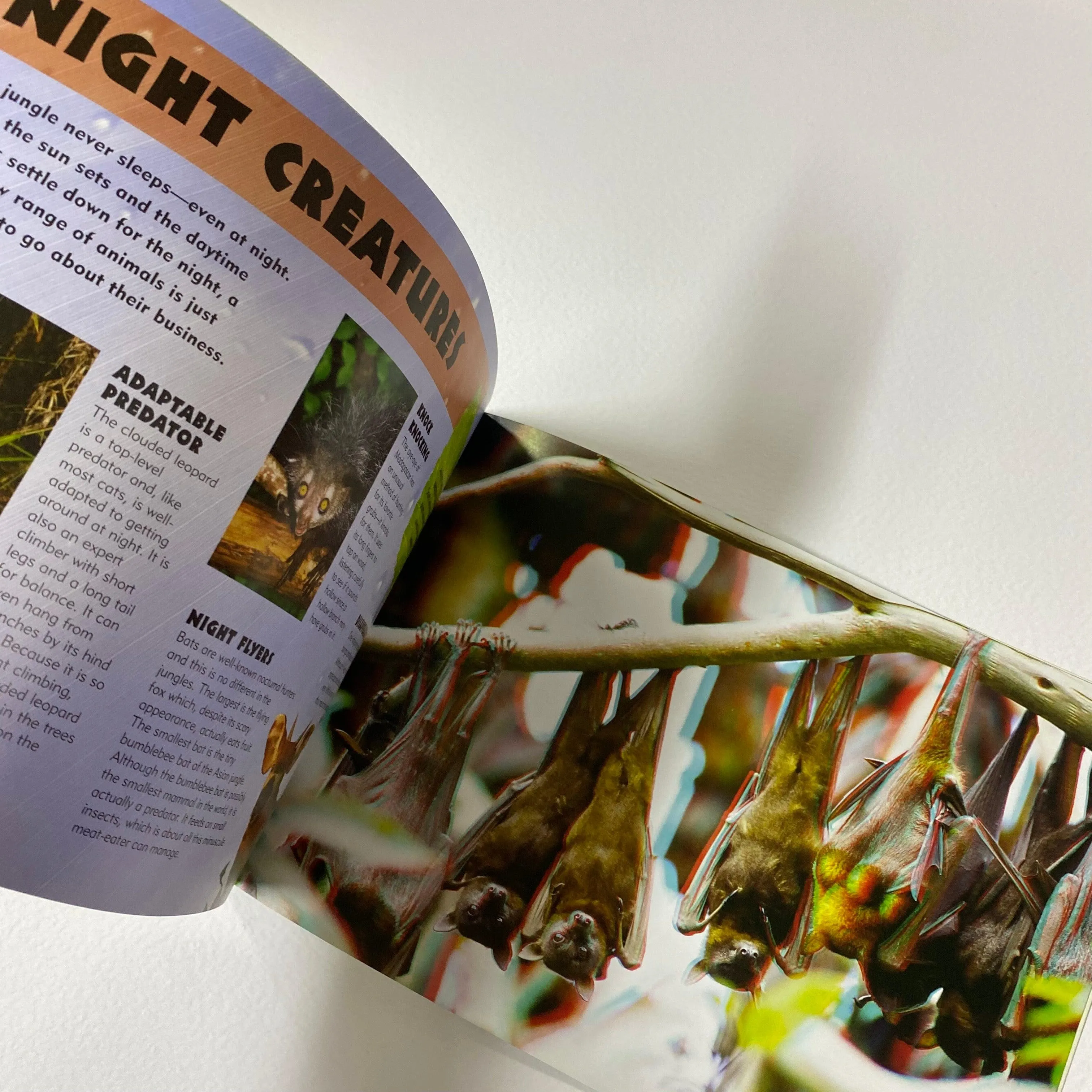 3D Worlds Jungle - [With 3-D Glasses]