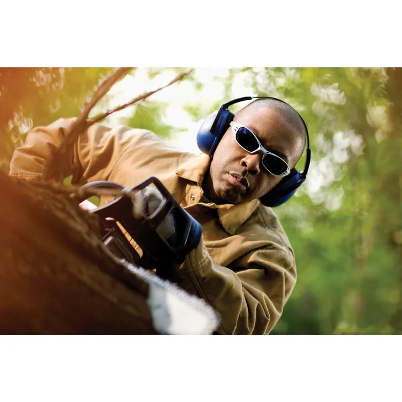 3M  Safety Glasses  Blue Lens Silver Frame 1 pc.