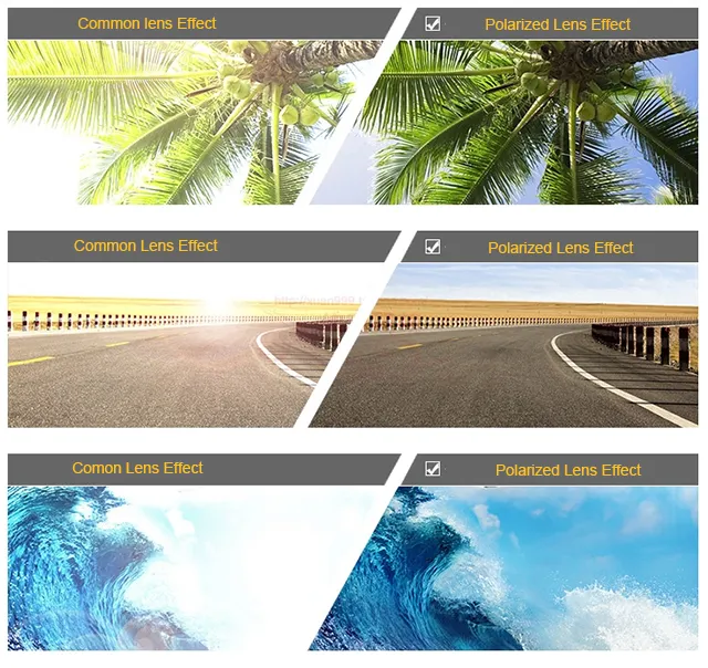 Beach Bound Skateboard Wood and Acetate Sunglasses