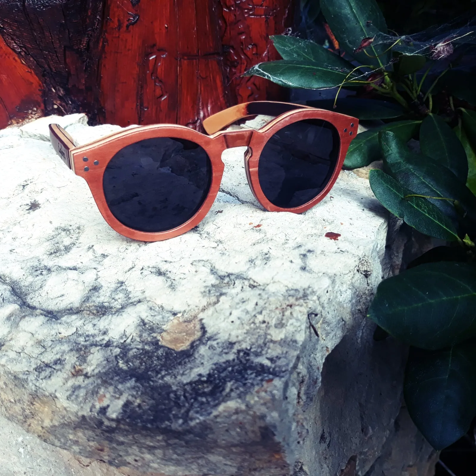 Cinnamon Swirl Skateboard Wood, Polarized, Handcrafted