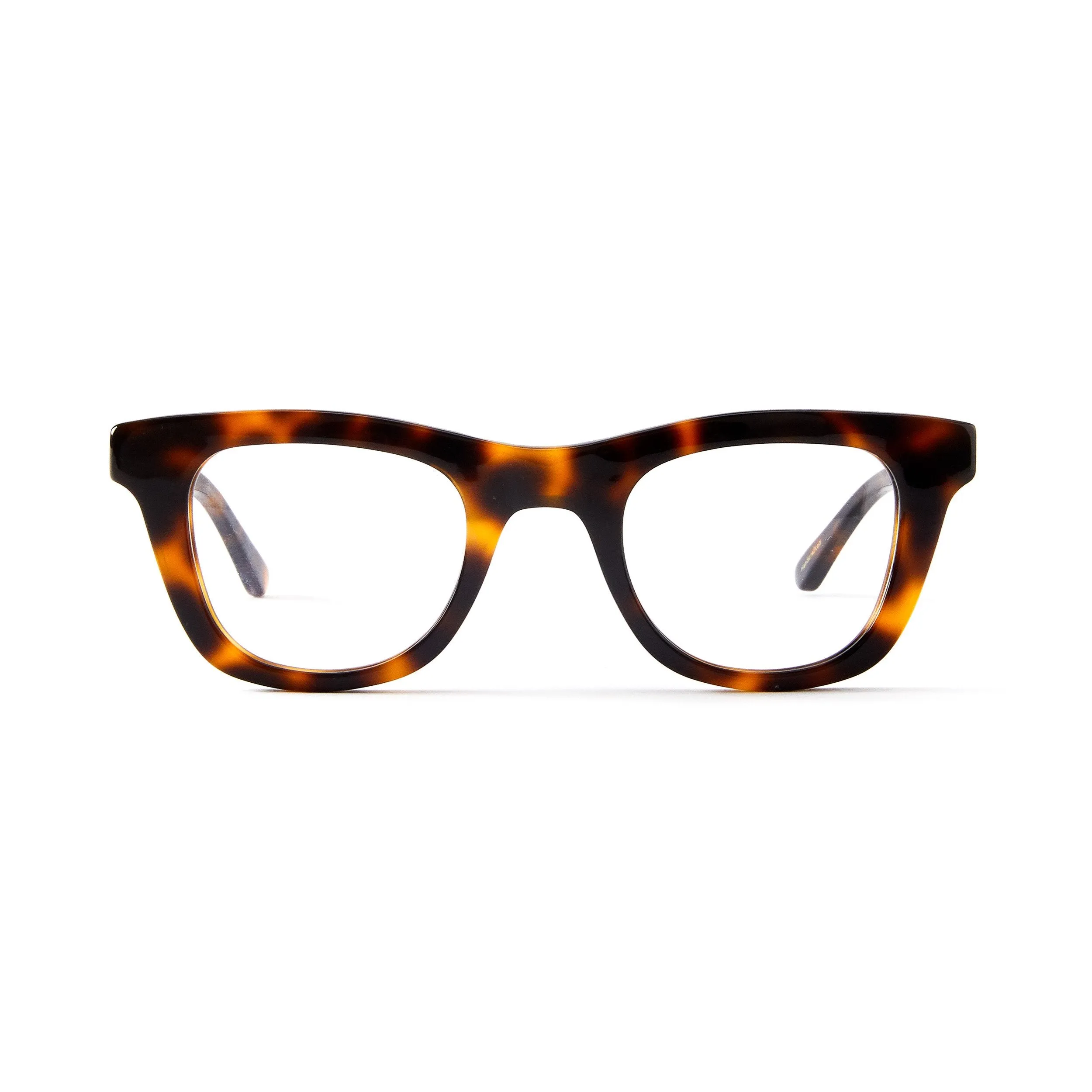 Constance Blue Light Tortoise