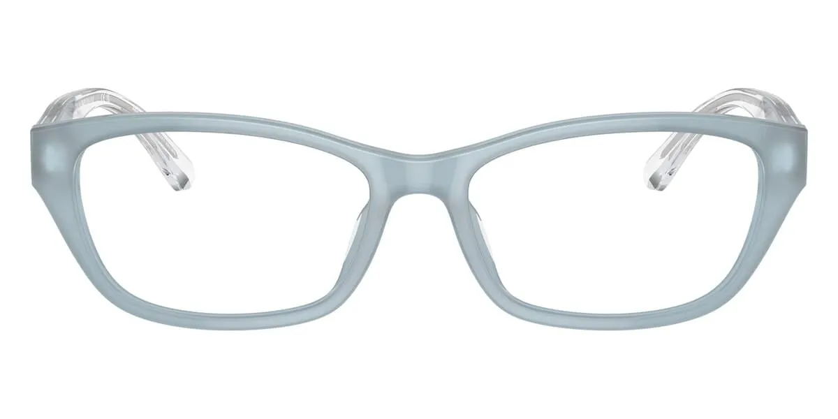 Emporio Armani EA3238U 6096
