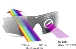 LGL 42