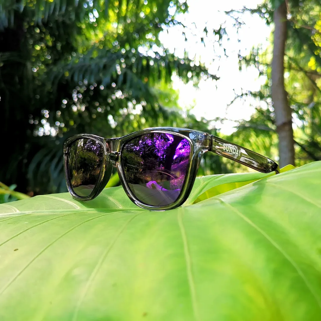 LUCID GREY - VIOLET CLASSIC