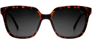 Market Elite Polarized