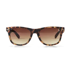 Optimum Optical Sunglasses - Dad Bod