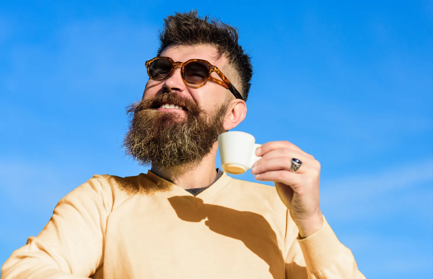 Optimum Optical Sunglasses - Dad Bod