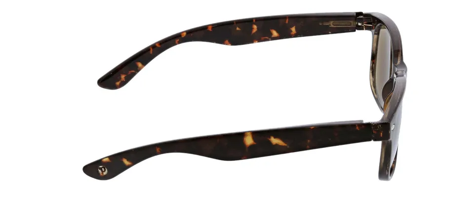 Peepers Bayfront Sun Bifocals
