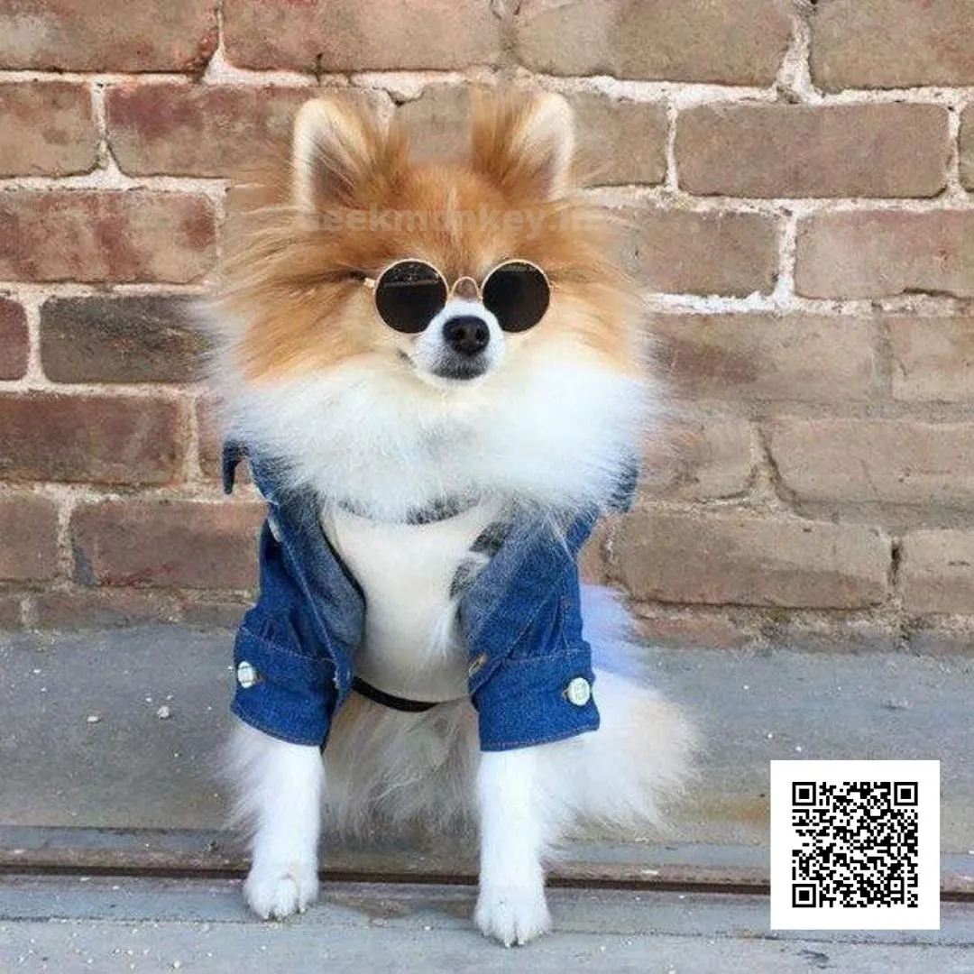 Pet Sunglasses - Gifts for Pets