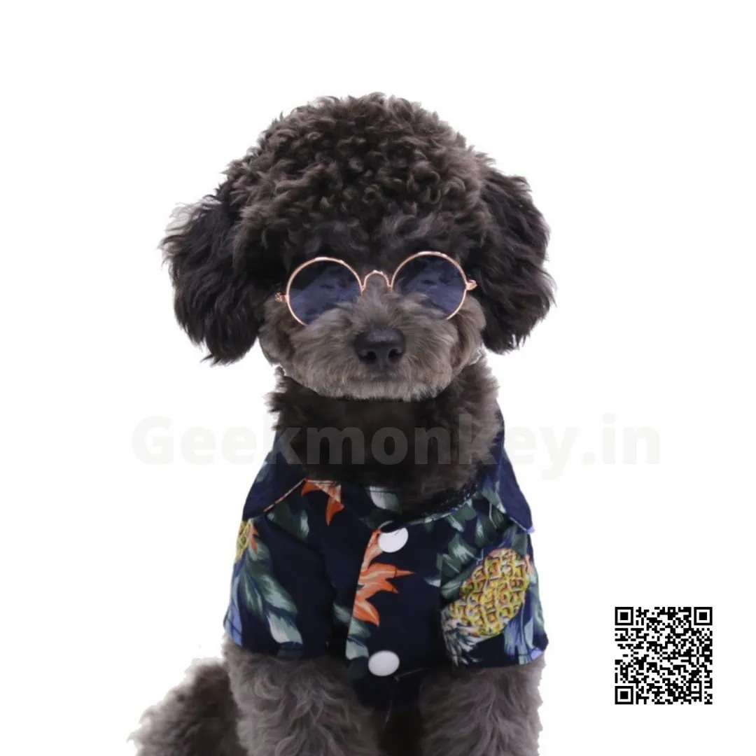 Pet Sunglasses - Gifts for Pets