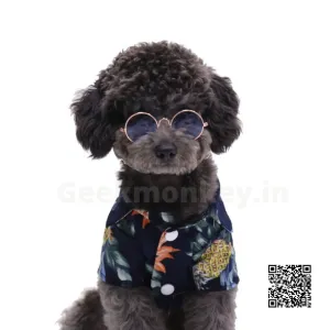 Pet Sunglasses - Gifts for Pets