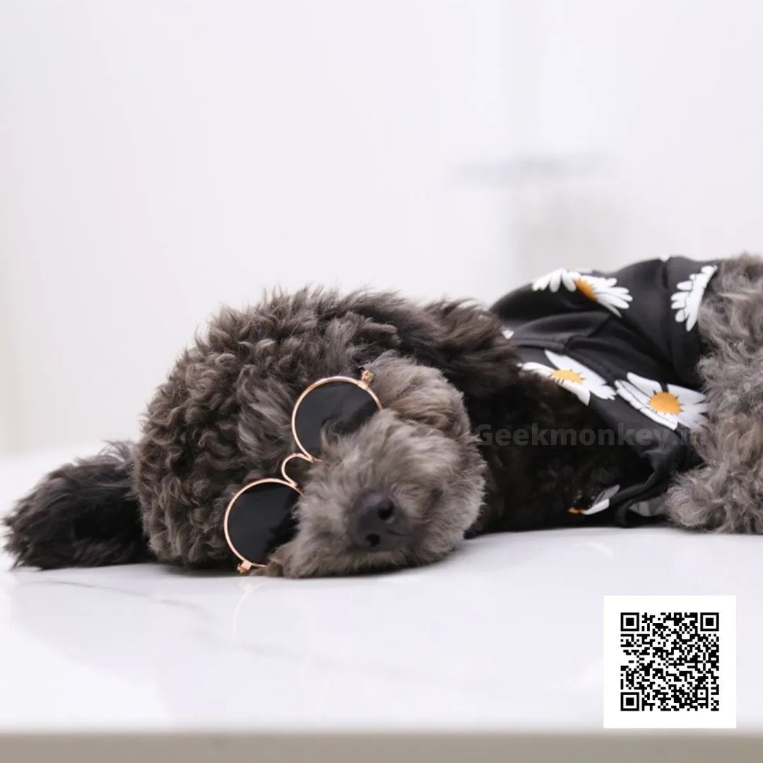 Pet Sunglasses - Gifts for Pets