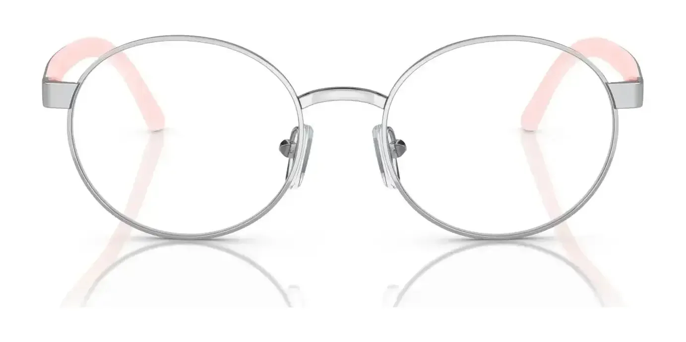 Polo PP8041 Eyeglasses | Size 48