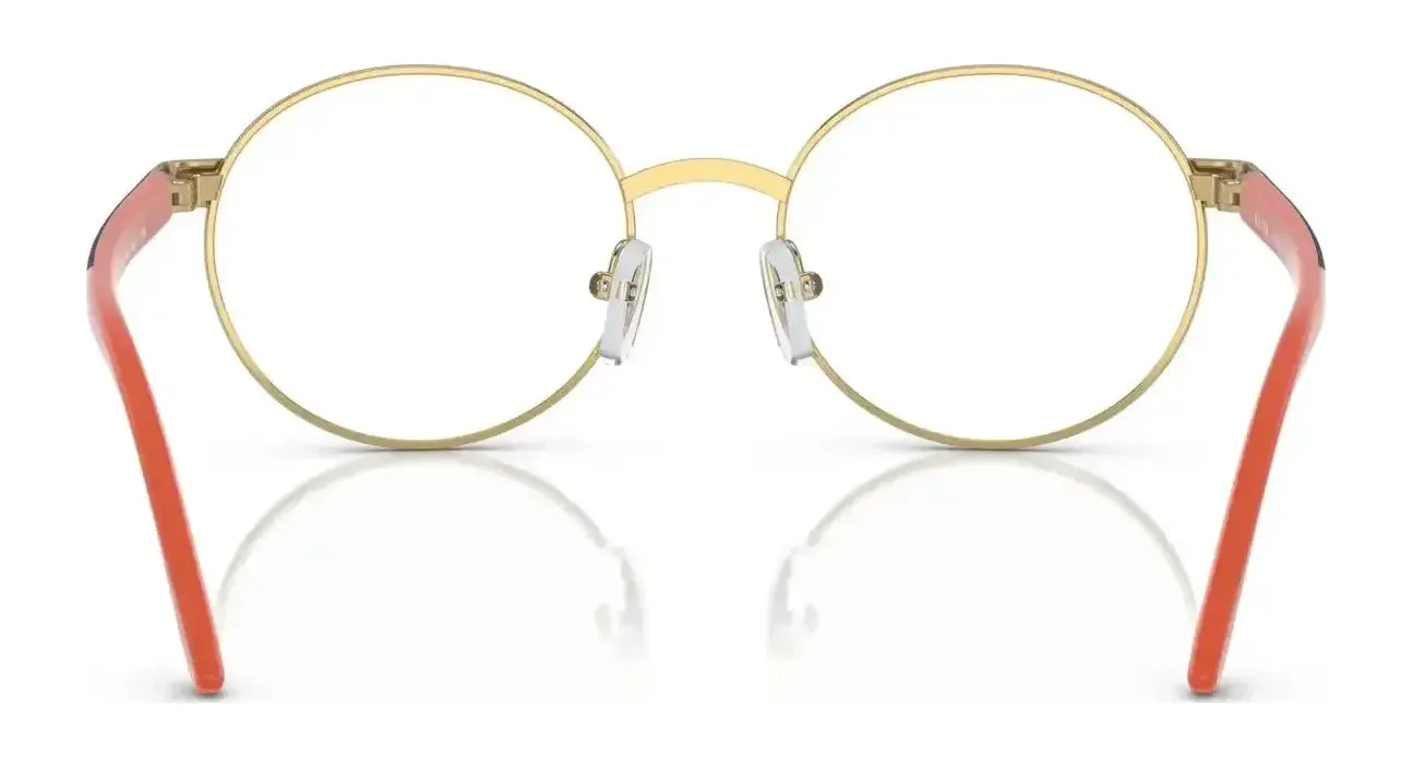 Polo PP8041 Eyeglasses | Size 48