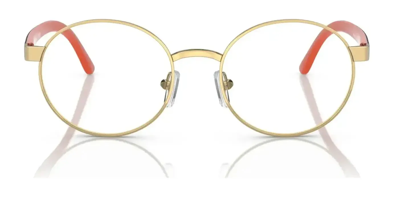 Polo PP8041 Eyeglasses | Size 48