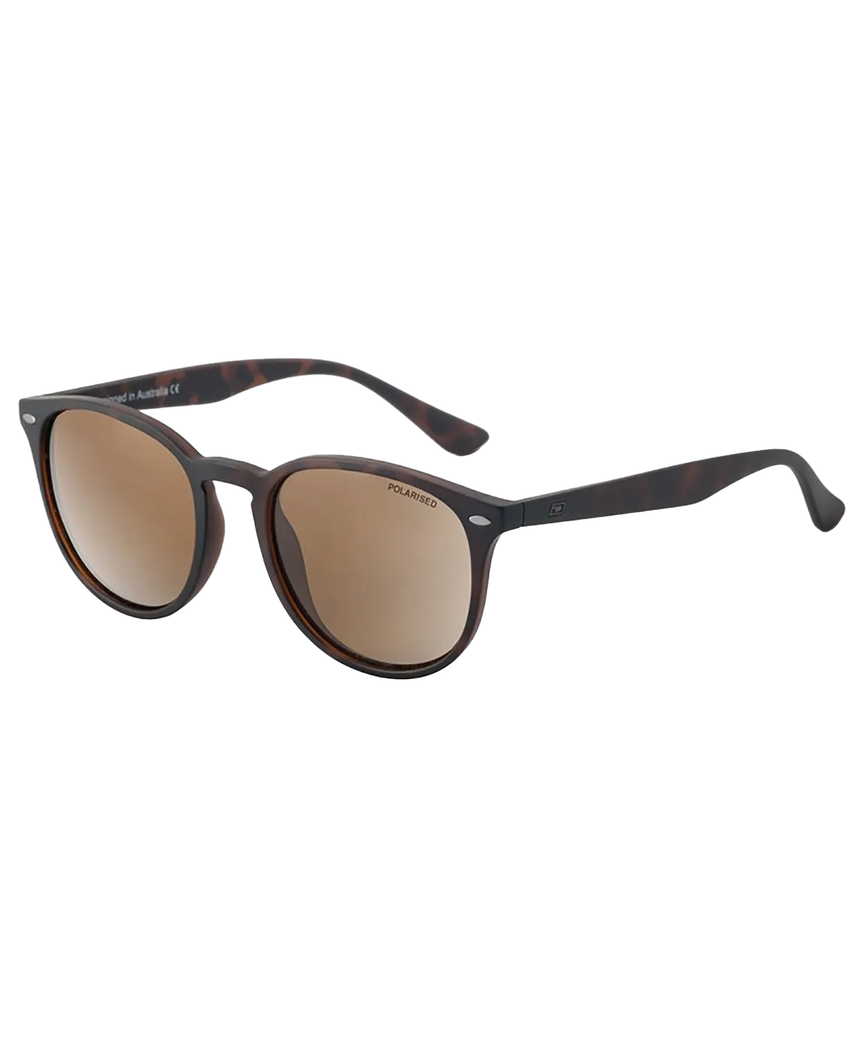 Racoon Polarised Sunglasses in Tortoise & Brown