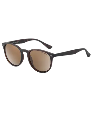Racoon Polarised Sunglasses in Tortoise & Brown