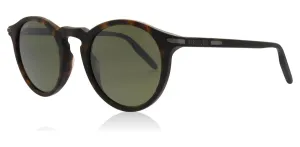Serengeti Raffaele Polarized 555nm Photochromic Unisex Sunglasses 8836