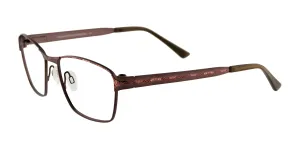 Takumi T9955 Eyeglasses with Clip-on Sunglasses | Size 54
