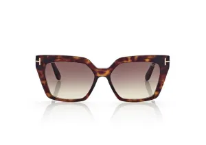 Tom Ford Winona Sunglasses in Shiny Havana / Gradient Brown