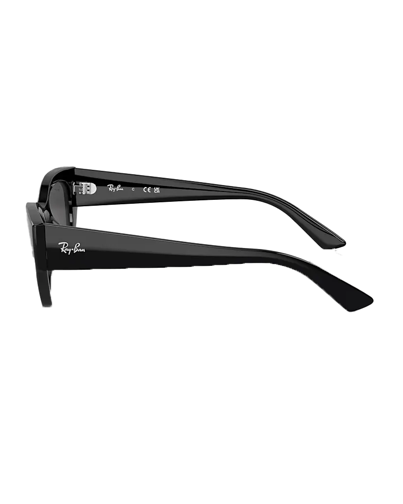 Zena Sunglasses in Black